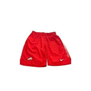 Nike Dri-fit Shorts size L